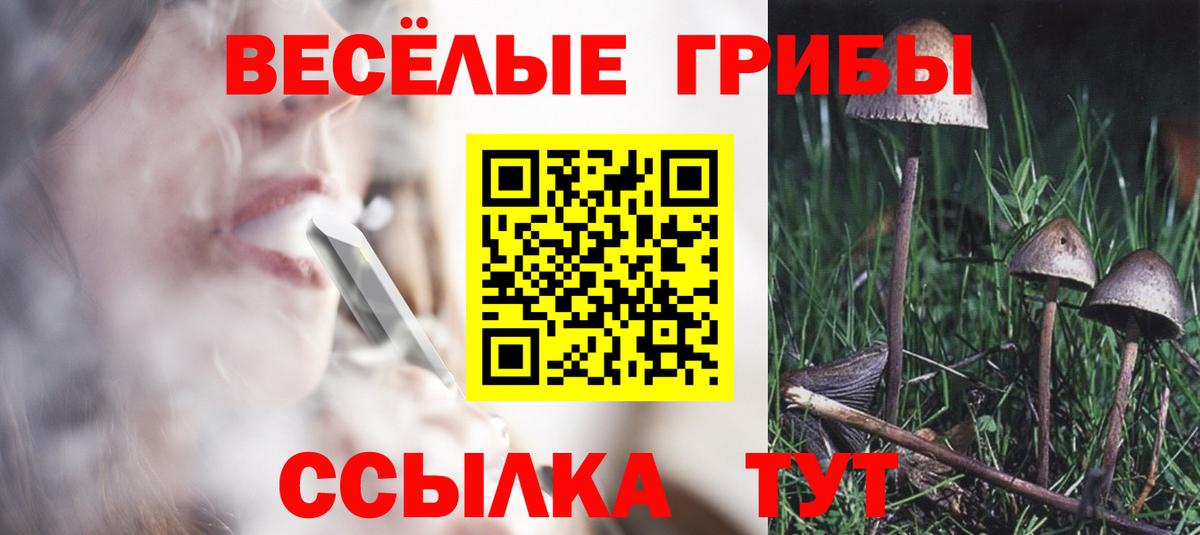 Алатырь  Галлюциногенные грибы Magic Shrooms  Вход с VPN  Галлюциногенные грибы мицелий 