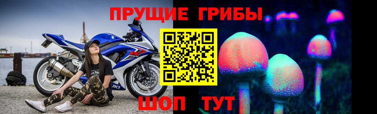 Галлюциногенные грибы прущие грибы Алатырь